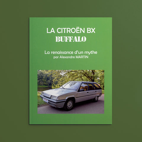 Citroën BX Buffalo